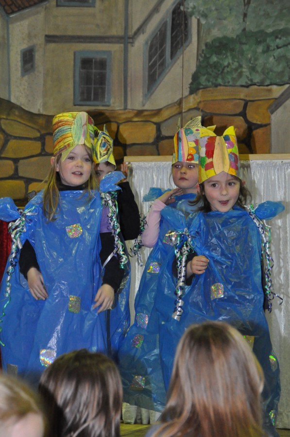 Foto Seniorenkarneval 2014