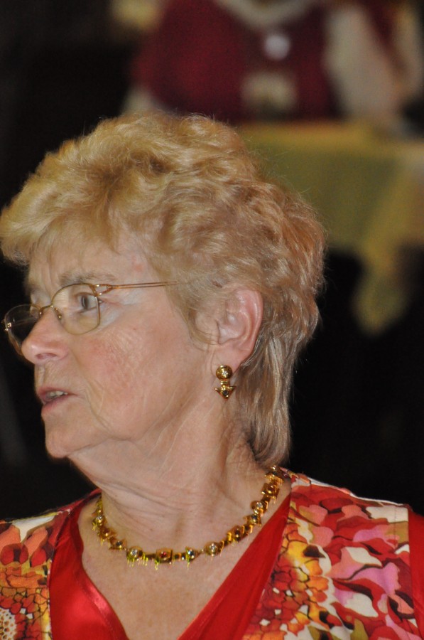 Foto Seniorenkarneval 2014