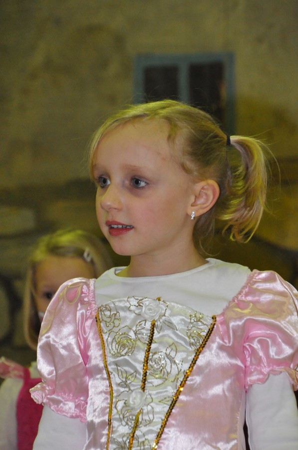 Foto Seniorenkarneval 2014