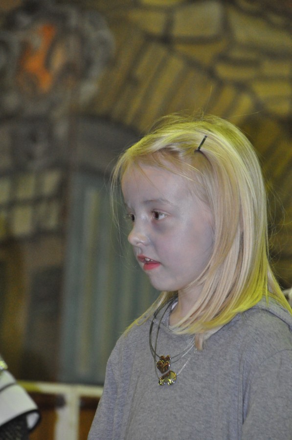 Foto Seniorenkarneval 2014