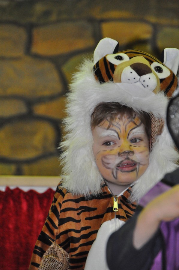 Foto Seniorenkarneval 2014