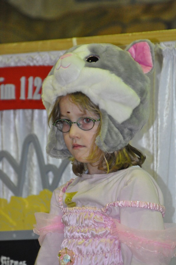 Foto Seniorenkarneval 2014