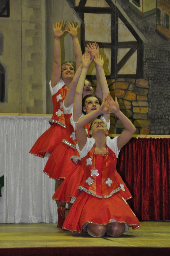 Foto Seniorenkarneval 2014