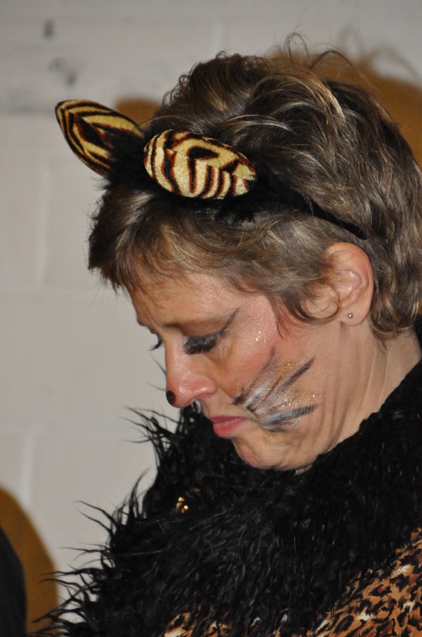 Foto Kost�mball 2014