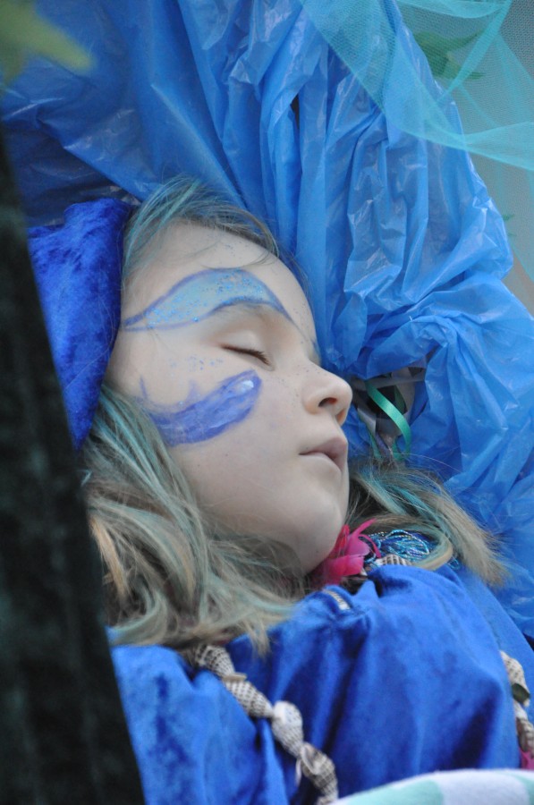 Foto Karnevalszug 2014
