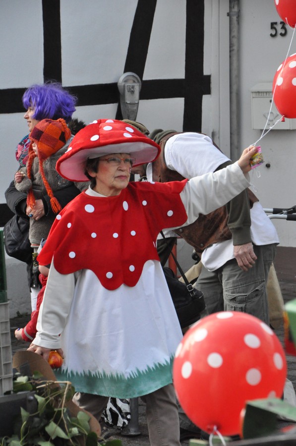 Foto Karnevalszug 2014