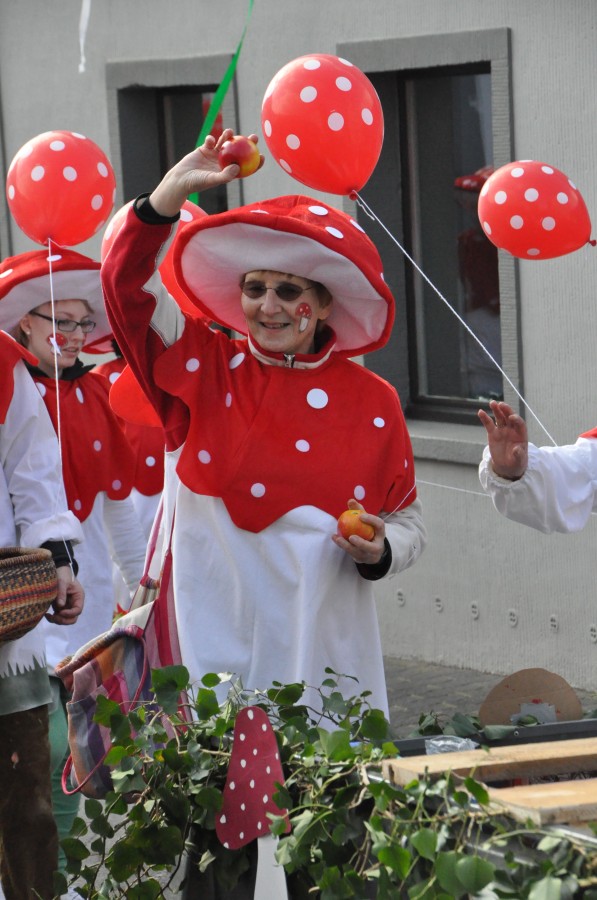 Foto Karnevalszug 2014