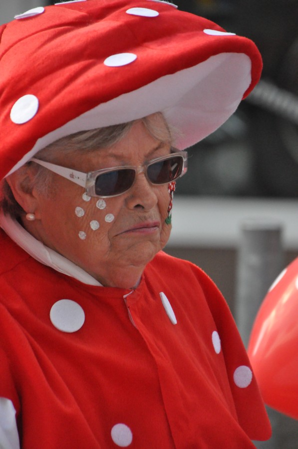 Foto Karnevalszug 2014