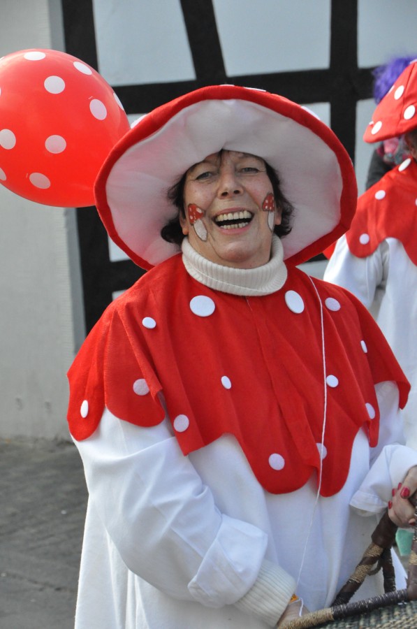 Foto Karnevalszug 2014