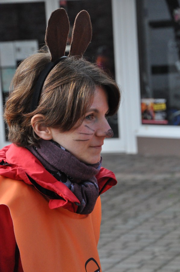 Foto Karnevalszug 2014