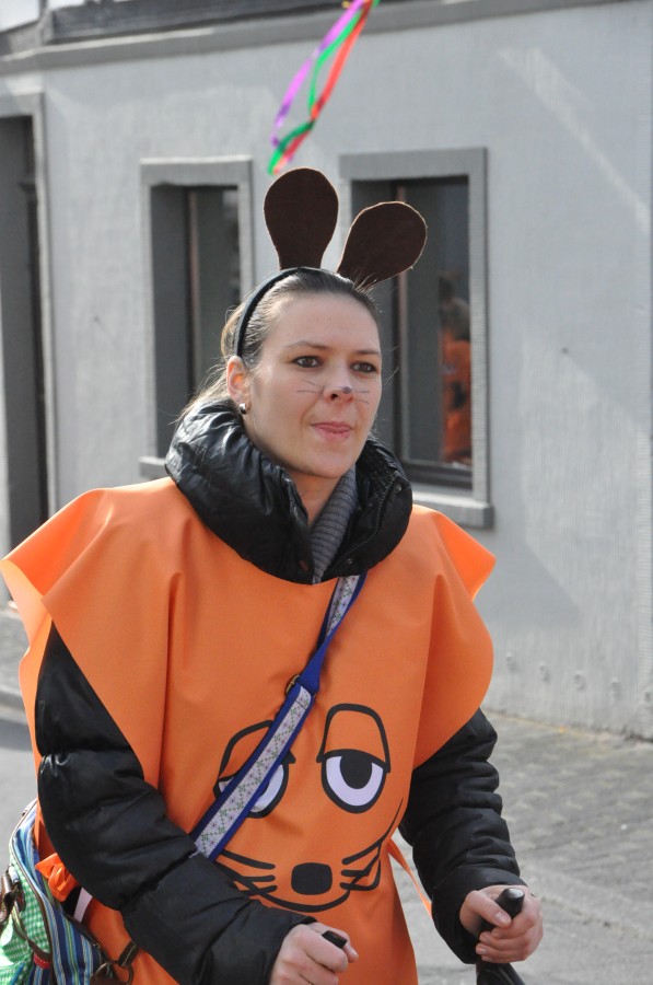 Foto Karnevalszug 2014