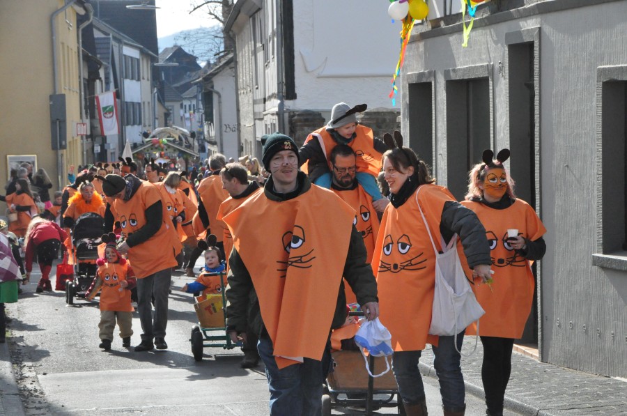 Foto Karnevalszug 2014