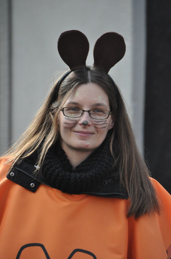 Foto Karnevalszug 2014