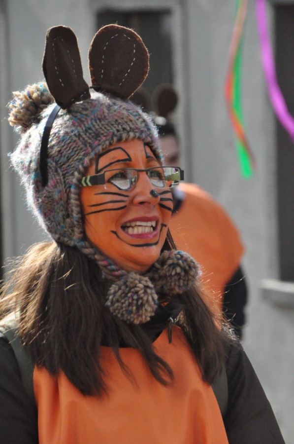 Foto Karnevalszug 2014