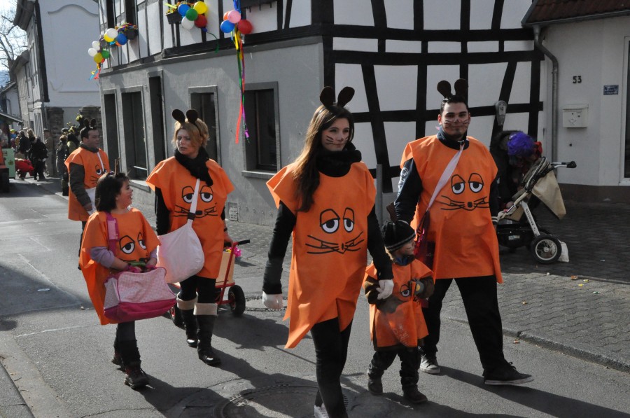 Foto Karnevalszug 2014