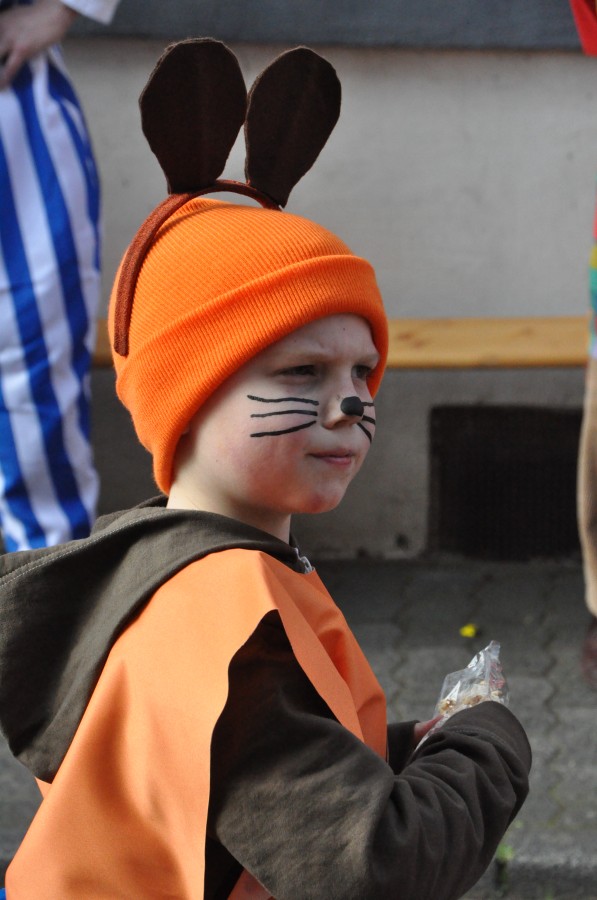 Foto Karnevalszug 2014