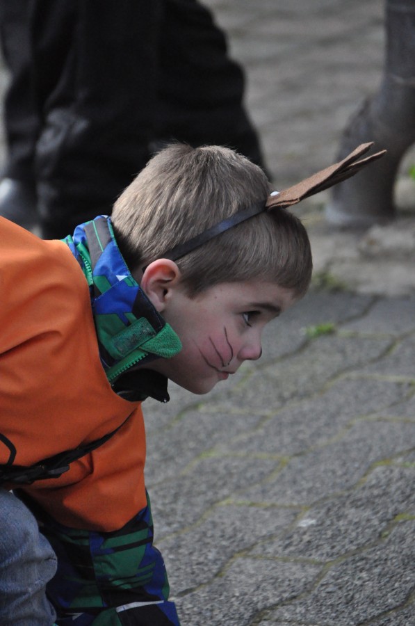 Foto Karnevalszug 2014