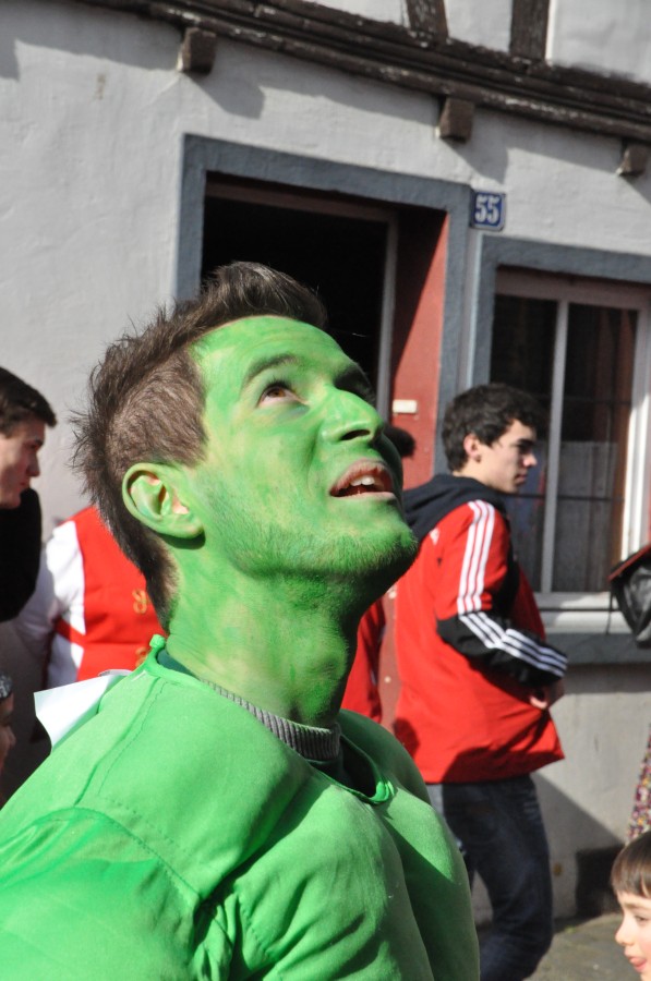 Foto Karnevalszug 2014