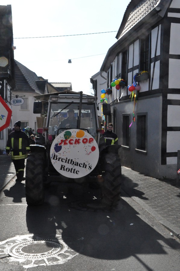 Foto Karnevalszug 2014