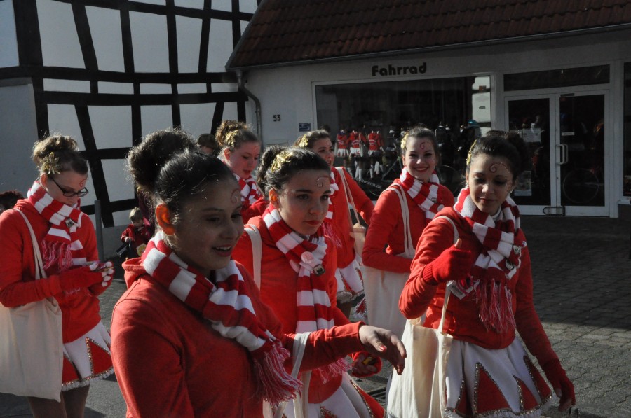 Foto Karnevalszug 2014