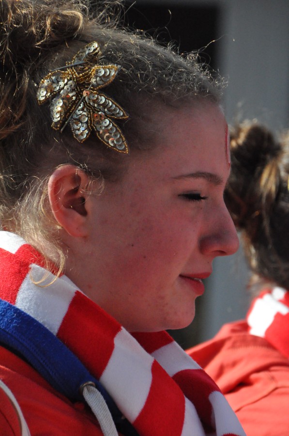 Foto Karnevalszug 2014