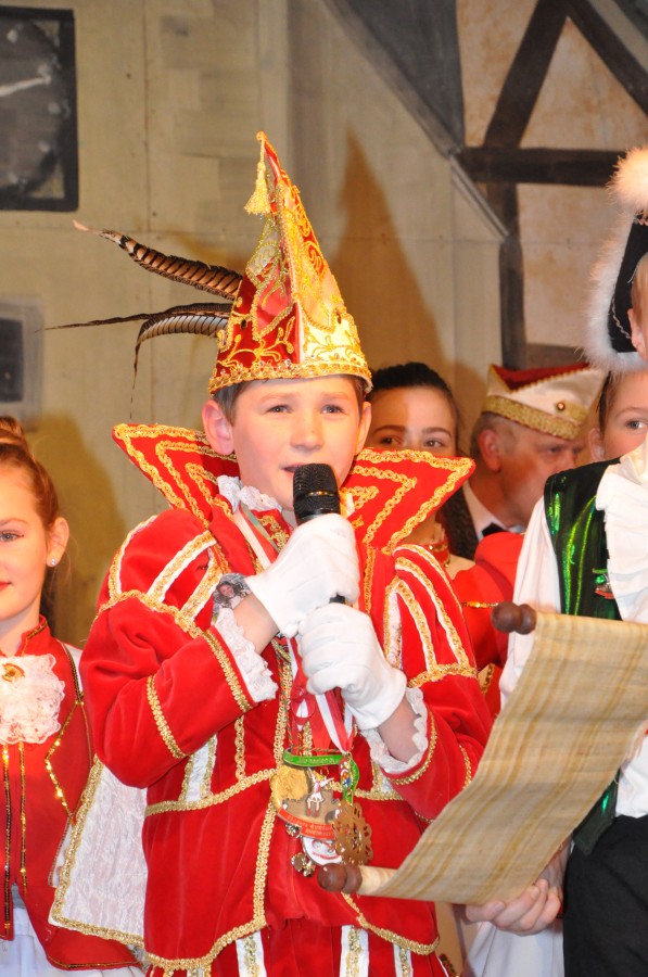 Foto Narrensitzung 2015