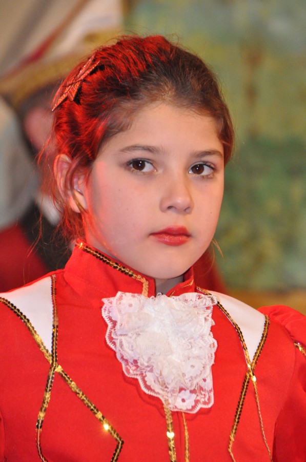 Foto Narrensitzung 2015