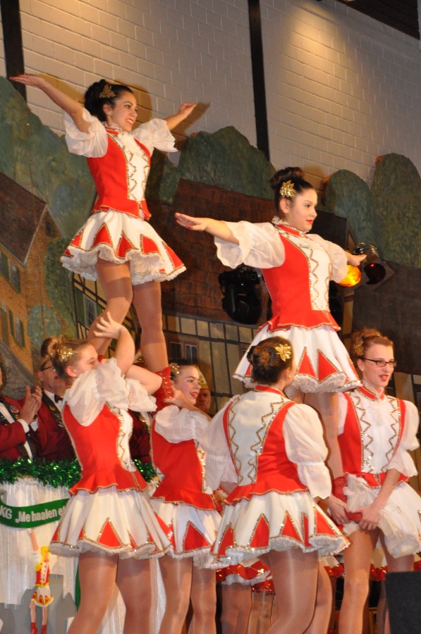 Foto Narrensitzung 2015