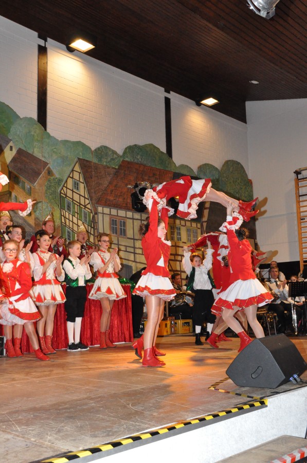 Foto Narrensitzung 2015