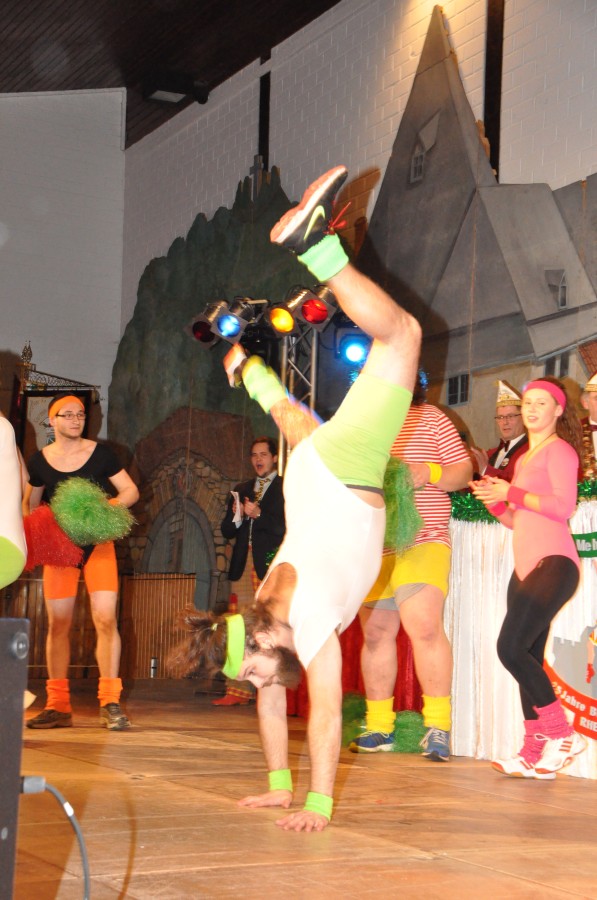 Foto Narrensitzung 2015