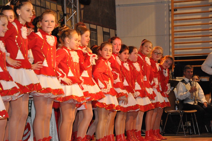 Foto Narrensitzung 2015