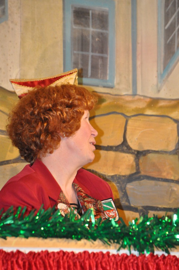 Foto Narrensitzung 2015