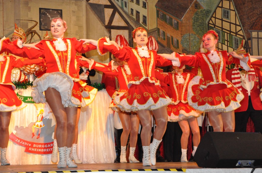 Foto Narrensitzung 2015