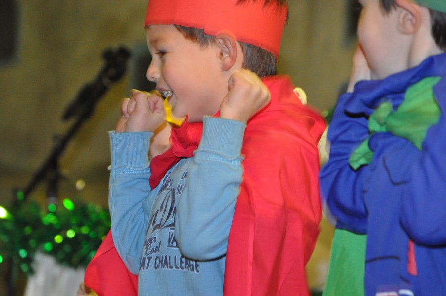 Foto Seniorenkarneval 2015