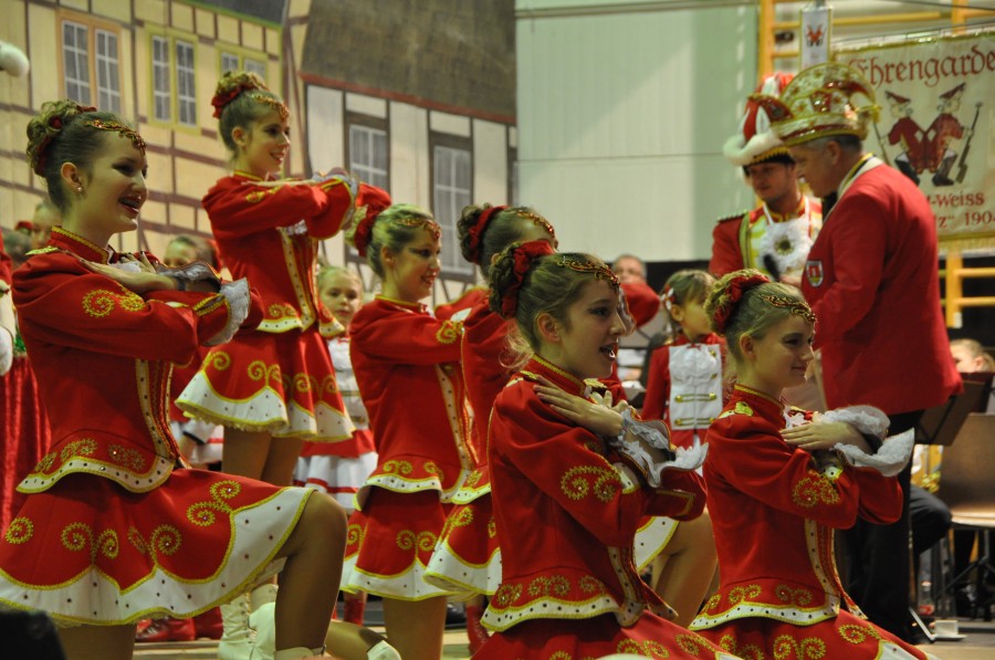 Foto Seniorenkarneval 2015