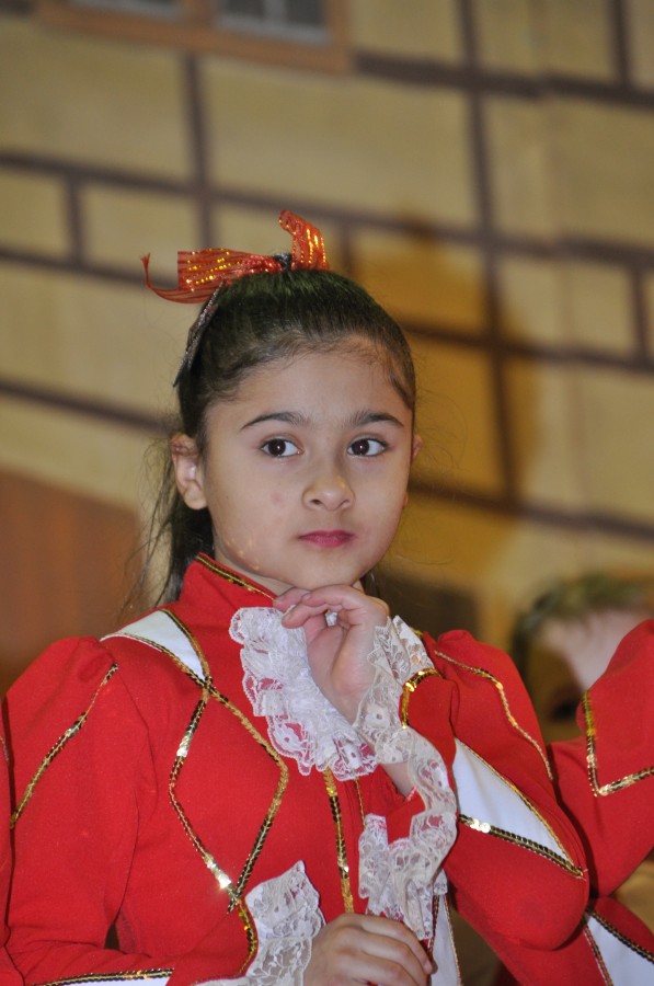 Foto Seniorenkarneval 2015