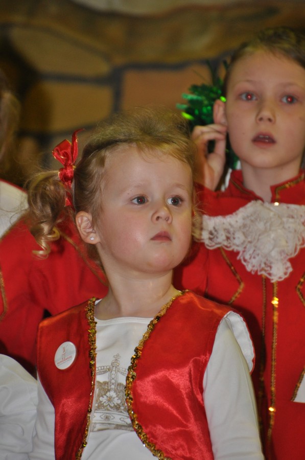 Foto Seniorenkarneval 2015