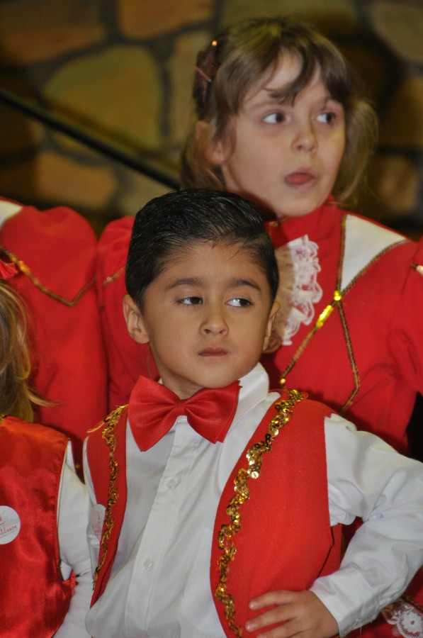 Foto Seniorenkarneval 2015