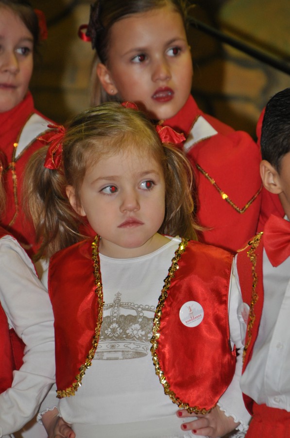 Foto Seniorenkarneval 2015