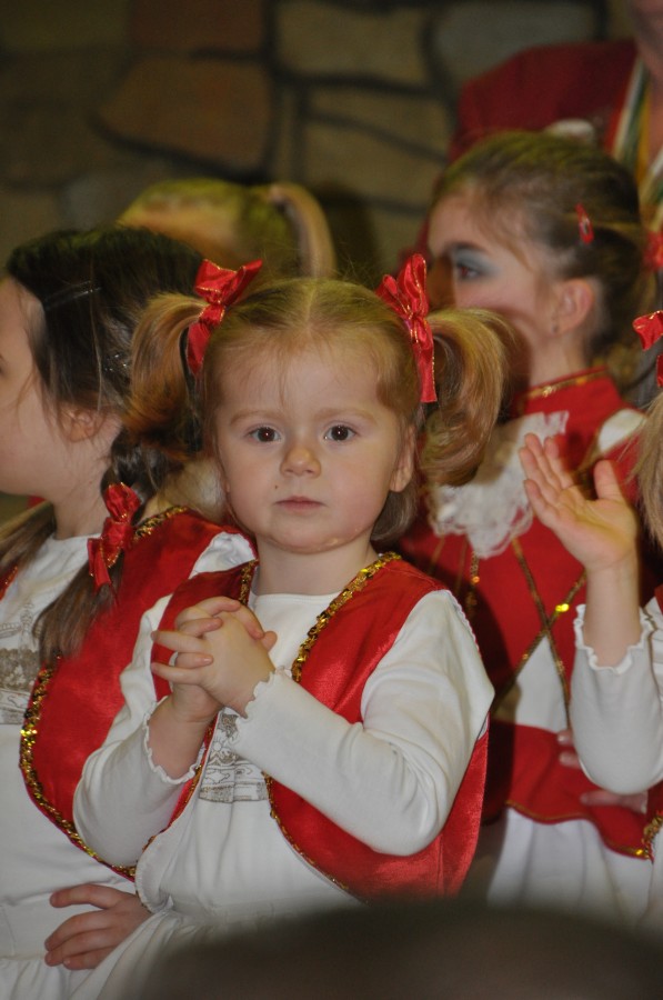 Foto Seniorenkarneval 2015