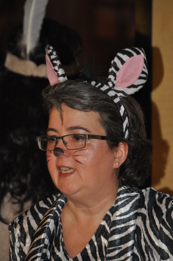 Foto Kost�mball 2015