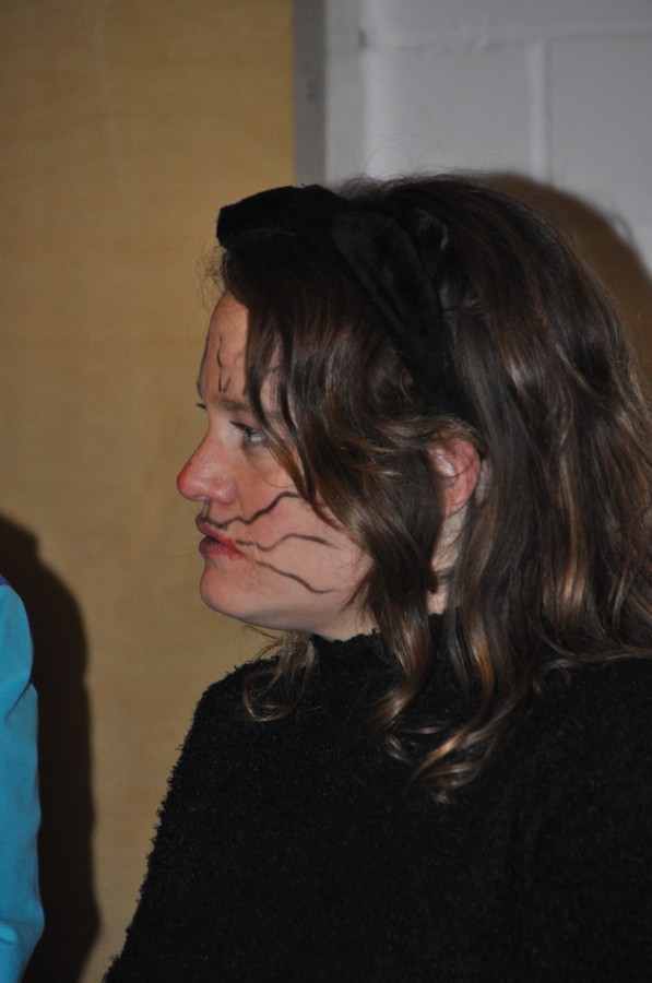 Foto Kost�mball 2015