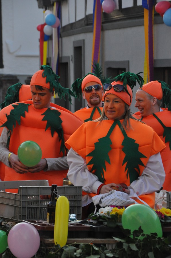 Foto Karnevalszug 2015