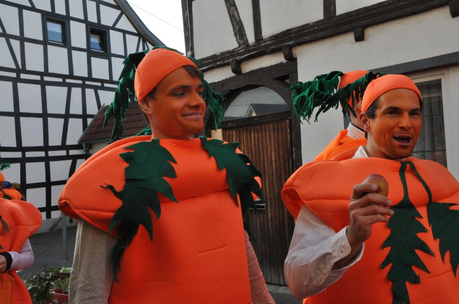 Foto Karnevalszug 2015
