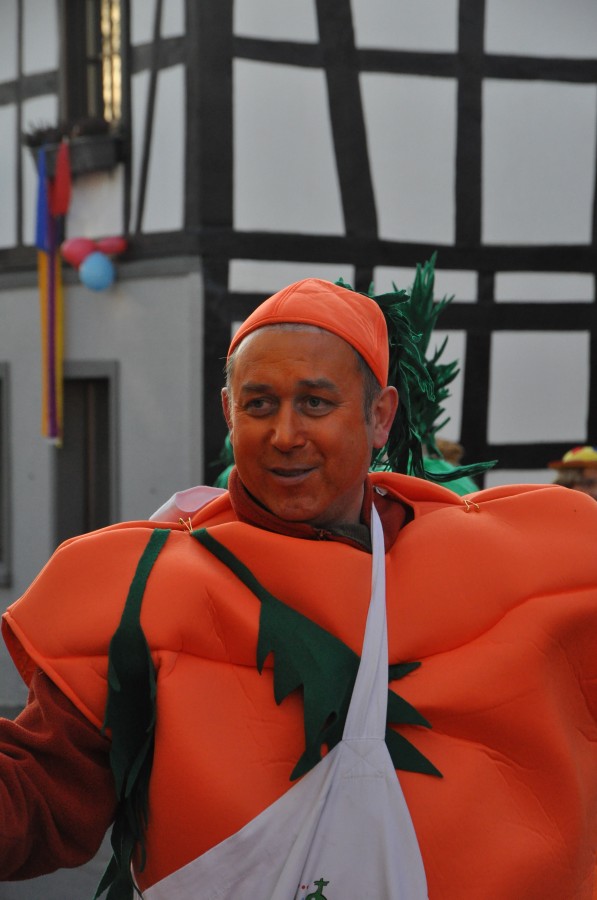 Foto Karnevalszug 2015