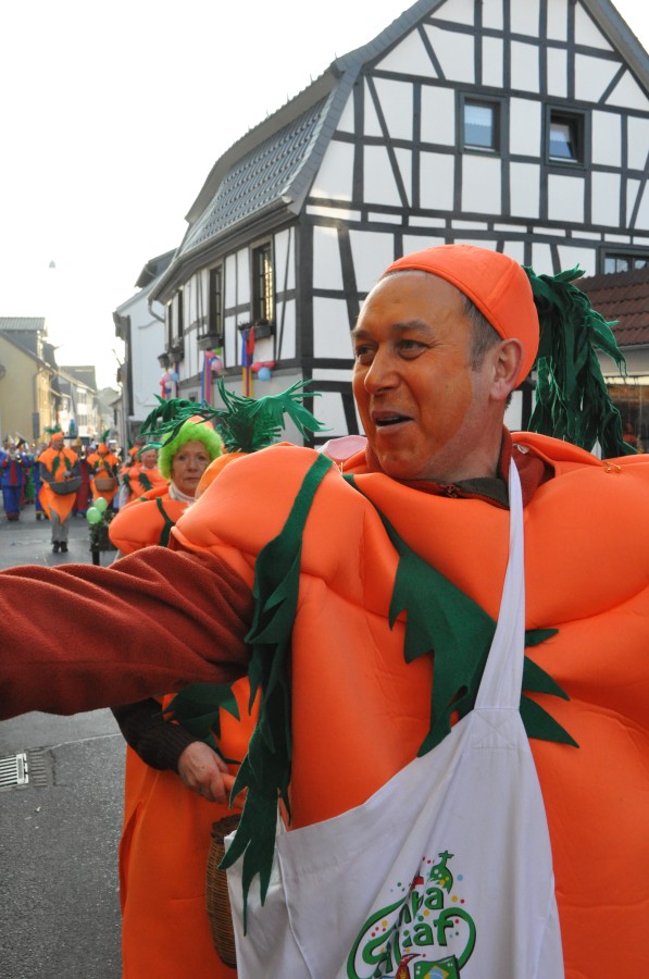 Foto Karnevalszug 2015