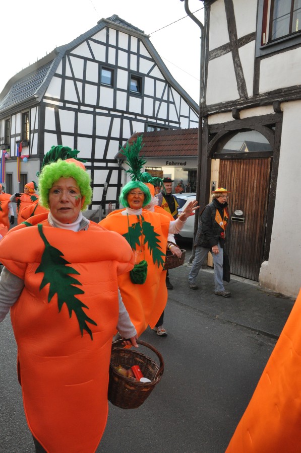 Foto Karnevalszug 2015
