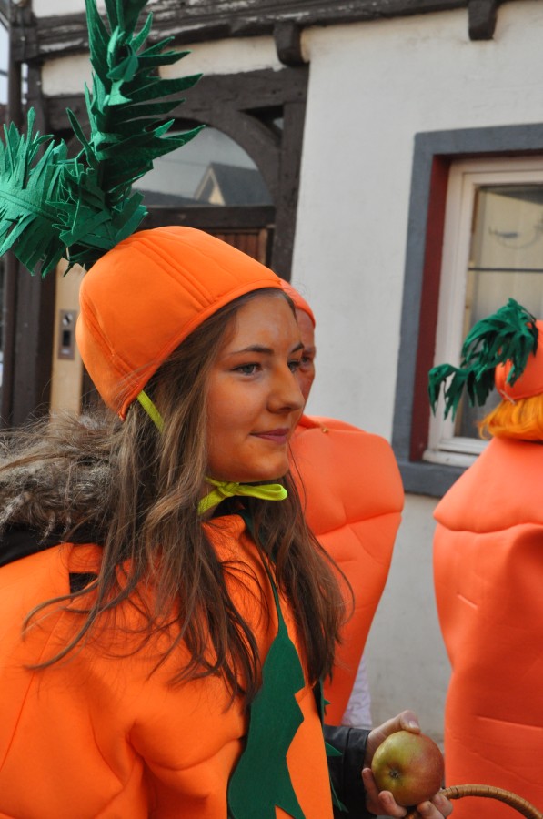Foto Karnevalszug 2015