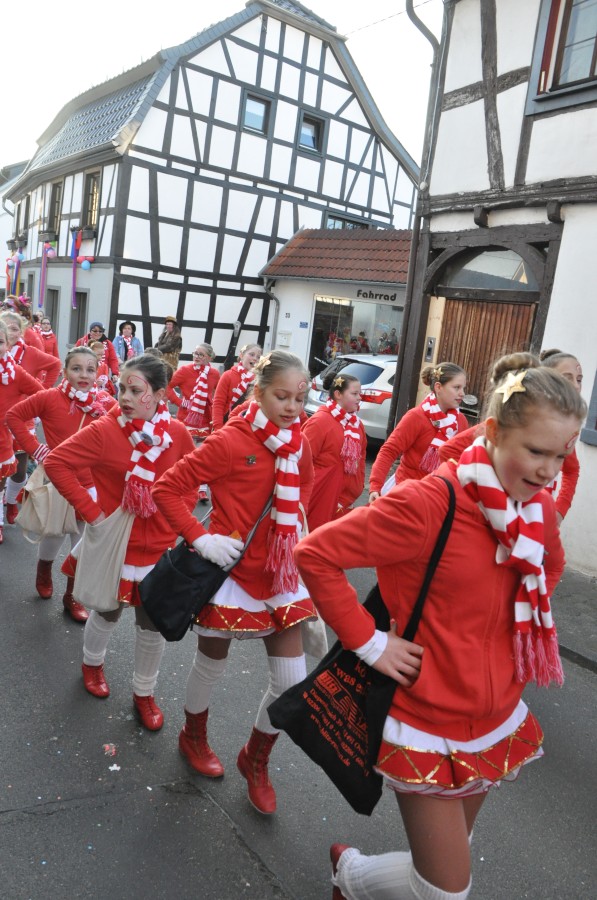 Foto Karnevalszug 2015