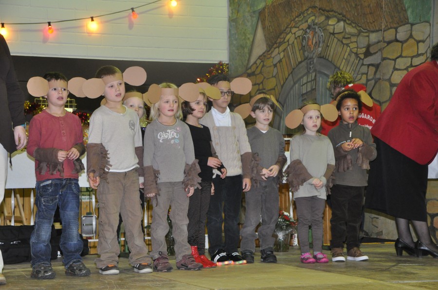 Foto Seniorenkarneval 2016